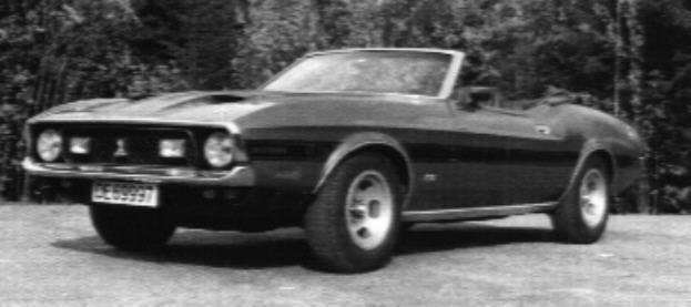 Shelby Europa