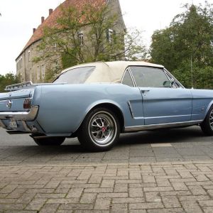 ralf busch 5