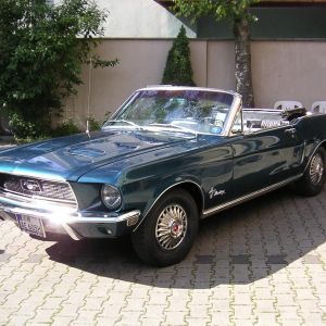 stefan arendt 5